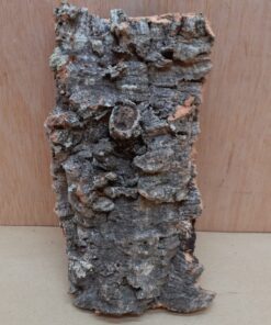 Small Cork Flat 16