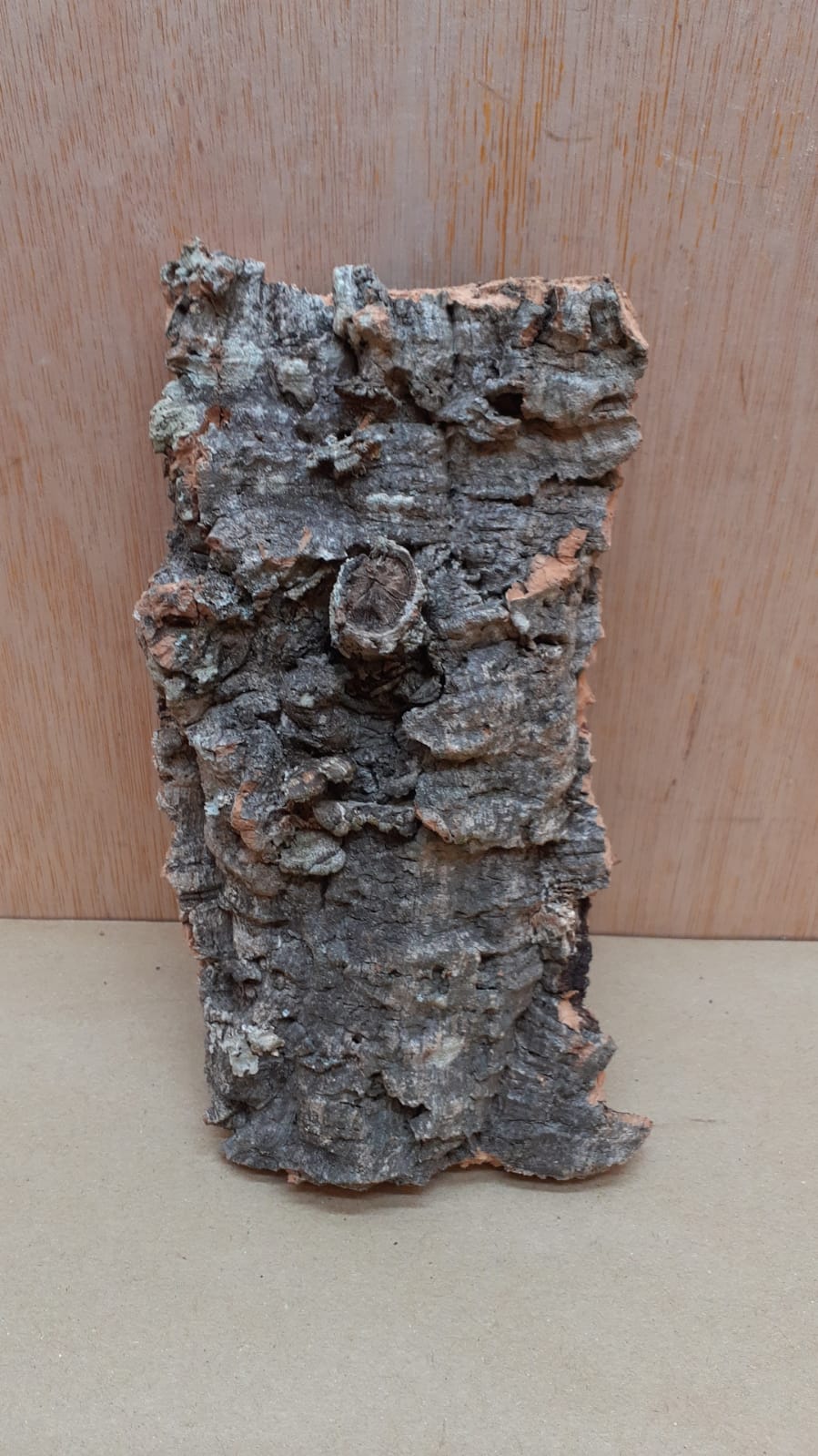 Small Cork Flat 16