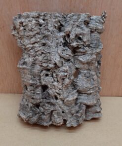 Small Cork Flat 17