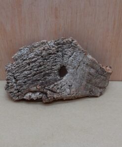 Small Cork Flat 24