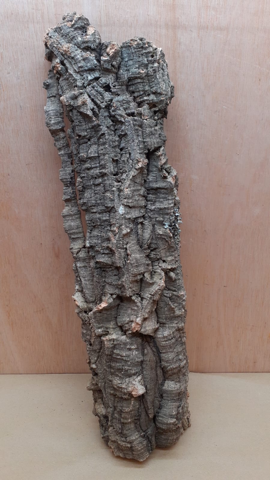 Large Cork Flat 10