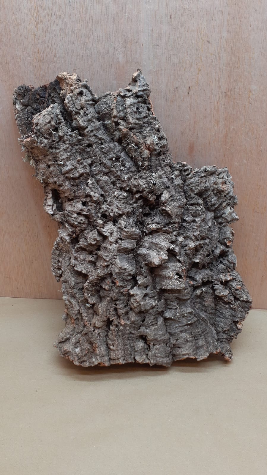 Large Cork Flat 11