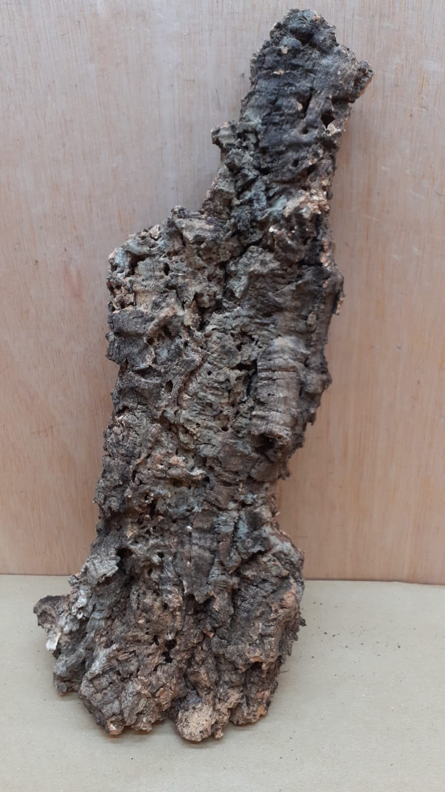 Large Cork Flat 12