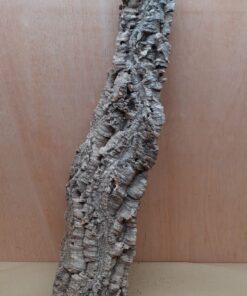 Large Cork Flat 13