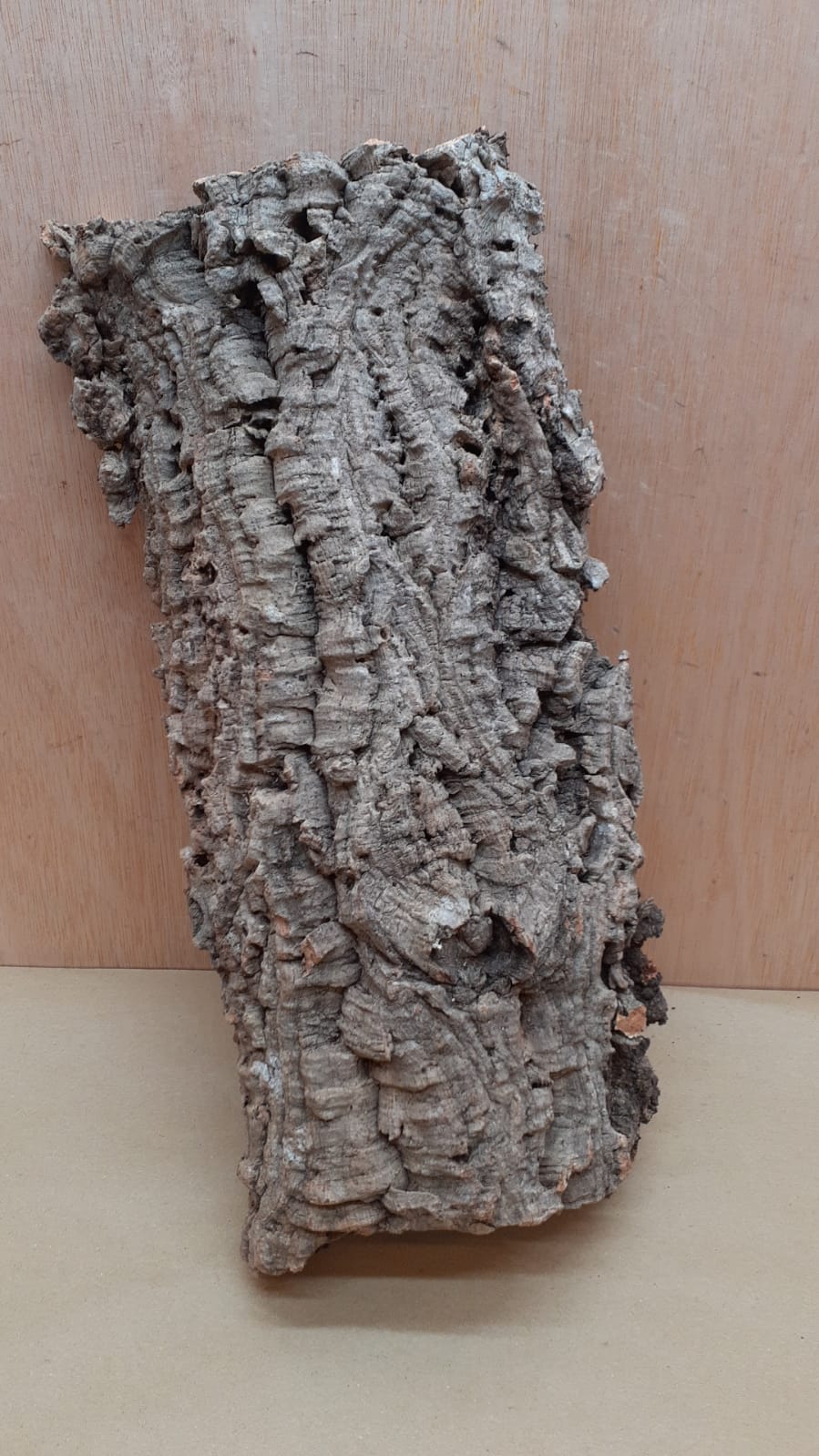 Large Cork Flat 16