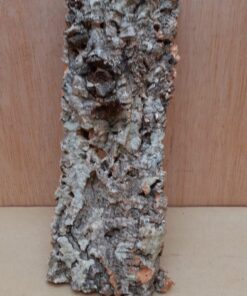 Medium Cork Flat 1