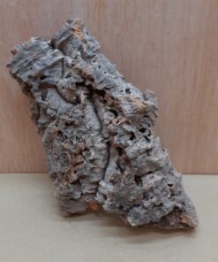 Medium Cork Flat 2