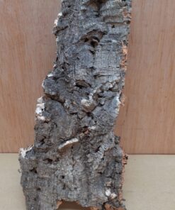 Medium Cork Flat 5