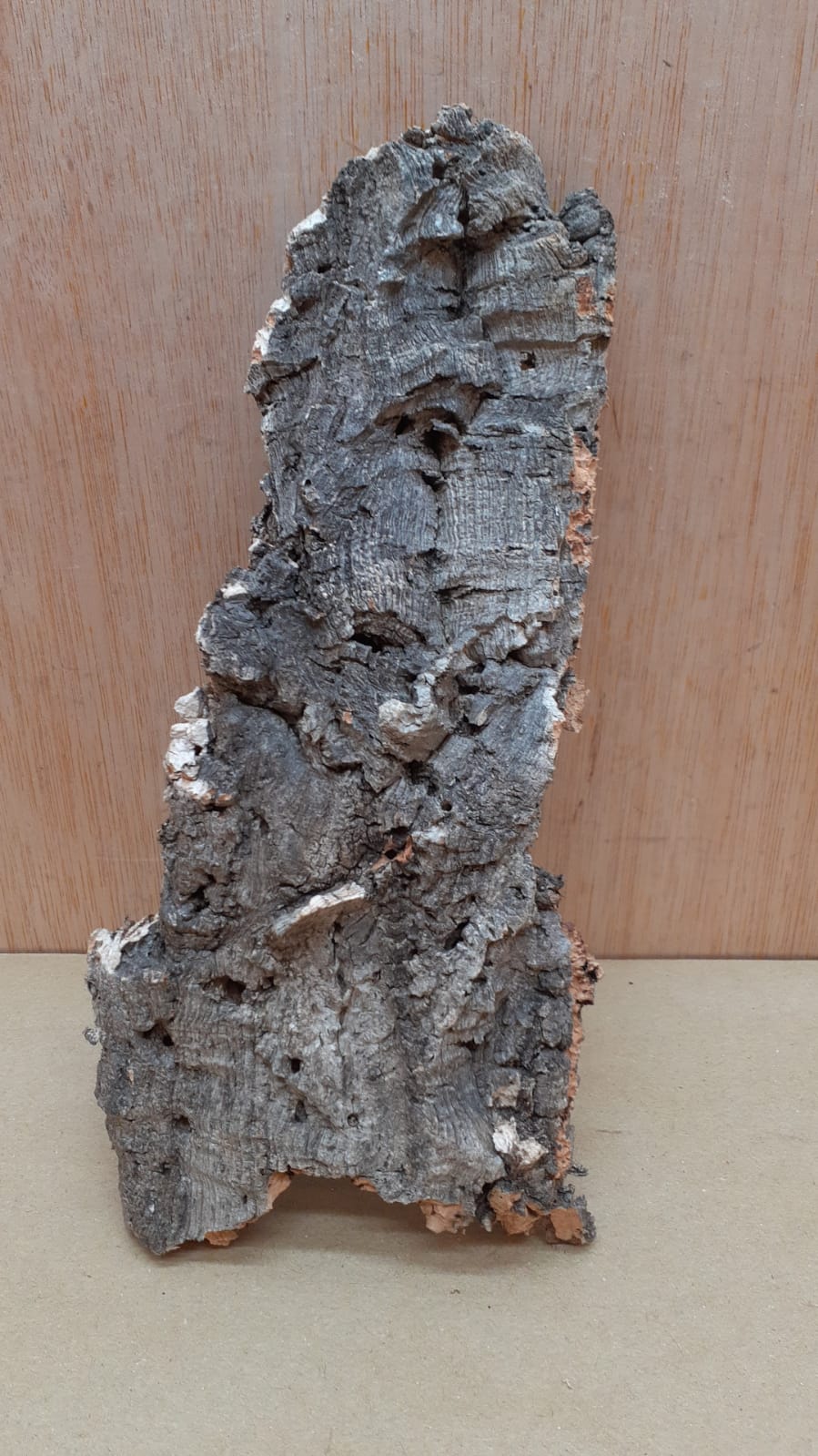 Medium Cork Flat 5
