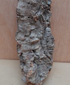 Medium Cork Flat 9