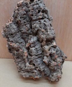 Medium Cork Flat 12