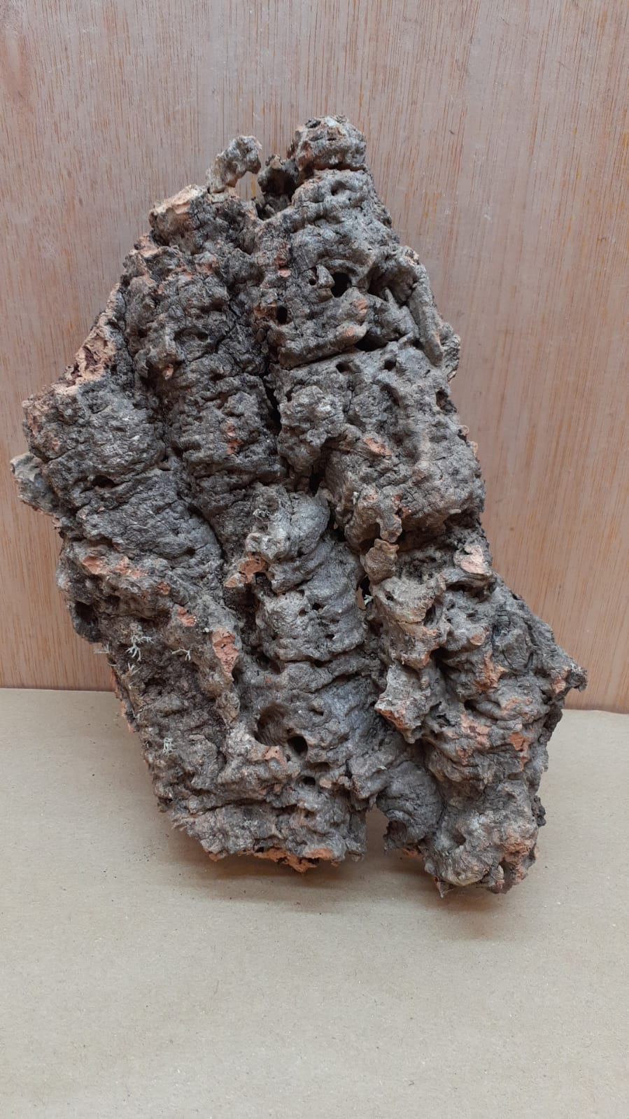 Medium Cork Flat 12