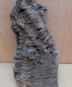 Medium Cork Flat 13