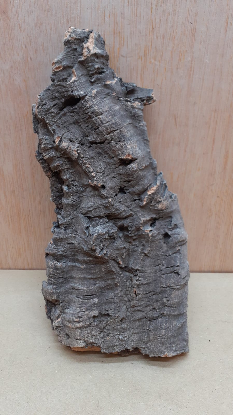 Medium Cork Flat 13