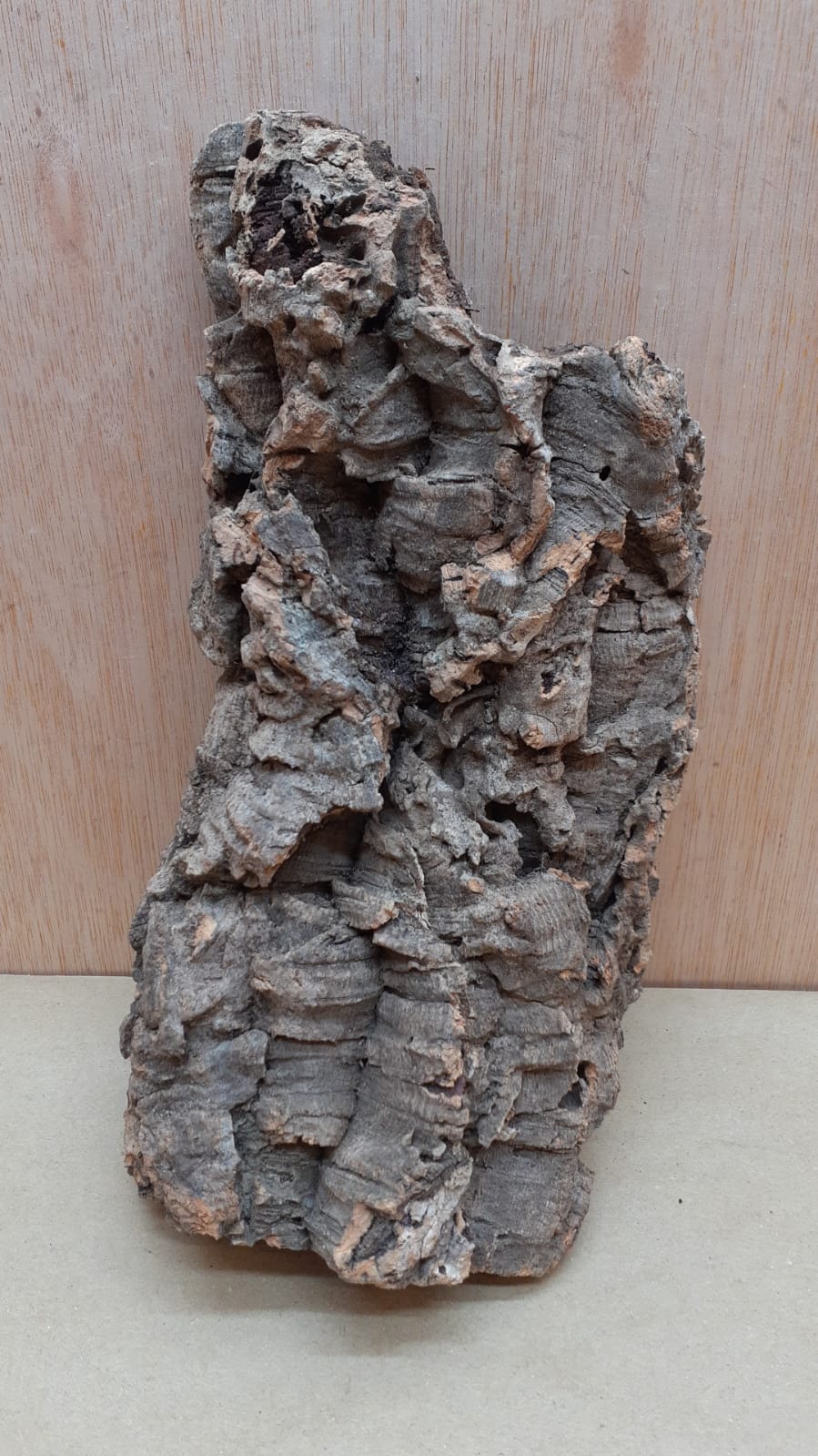 Medium Cork Flat 14