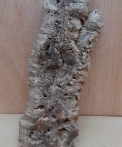 Medium Cork Flat 15