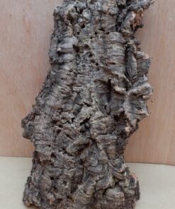 Medium Cork Flat 21