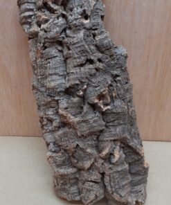 Medium Cork Flat 28