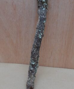Small Cork Branch - Upto 40cm - 5