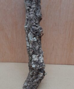 Small Cork Branch - Upto 40cm - 8