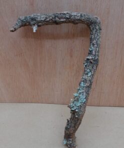 Small Cork Branch - Upto 40cm - 10