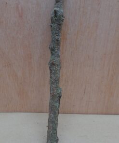 Small Cork Branch - Upto 40cm - 17