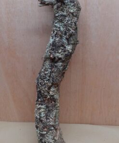 Medium Cork Branch - 40-80cm - 29