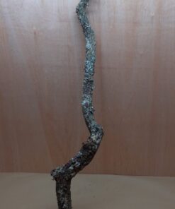 Large Cork Branch - 80-110cm - 18