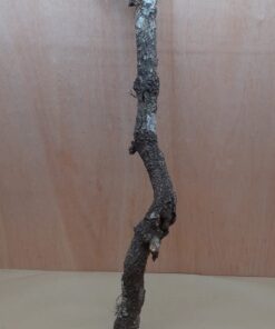 Large Cork Branch - 80-110cm - 20