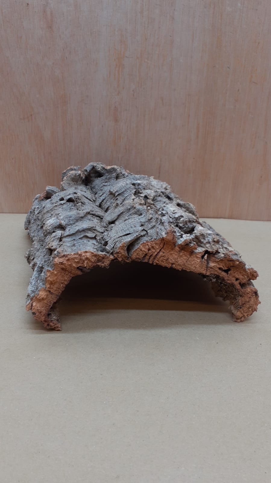 Small Cork Hide 1