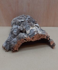 Small Cork Hide 8