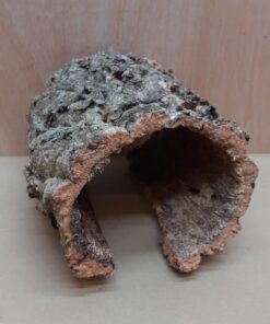 Medium Cork Hide 1