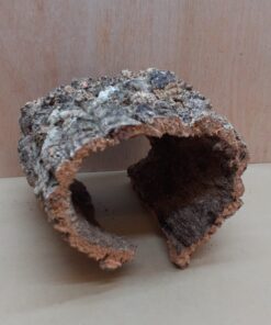 Medium Cork Hide 10