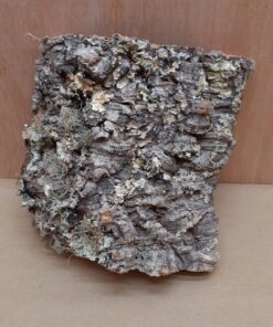 Medium Cork Flat 1