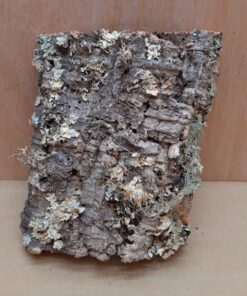 Medium Cork Flat 7