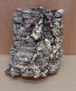 Medium Cork Flat 10