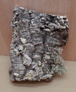 Medium Cork Flat 17