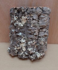 Medium Cork Flat 21