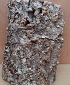 Medium Cork Flat 22