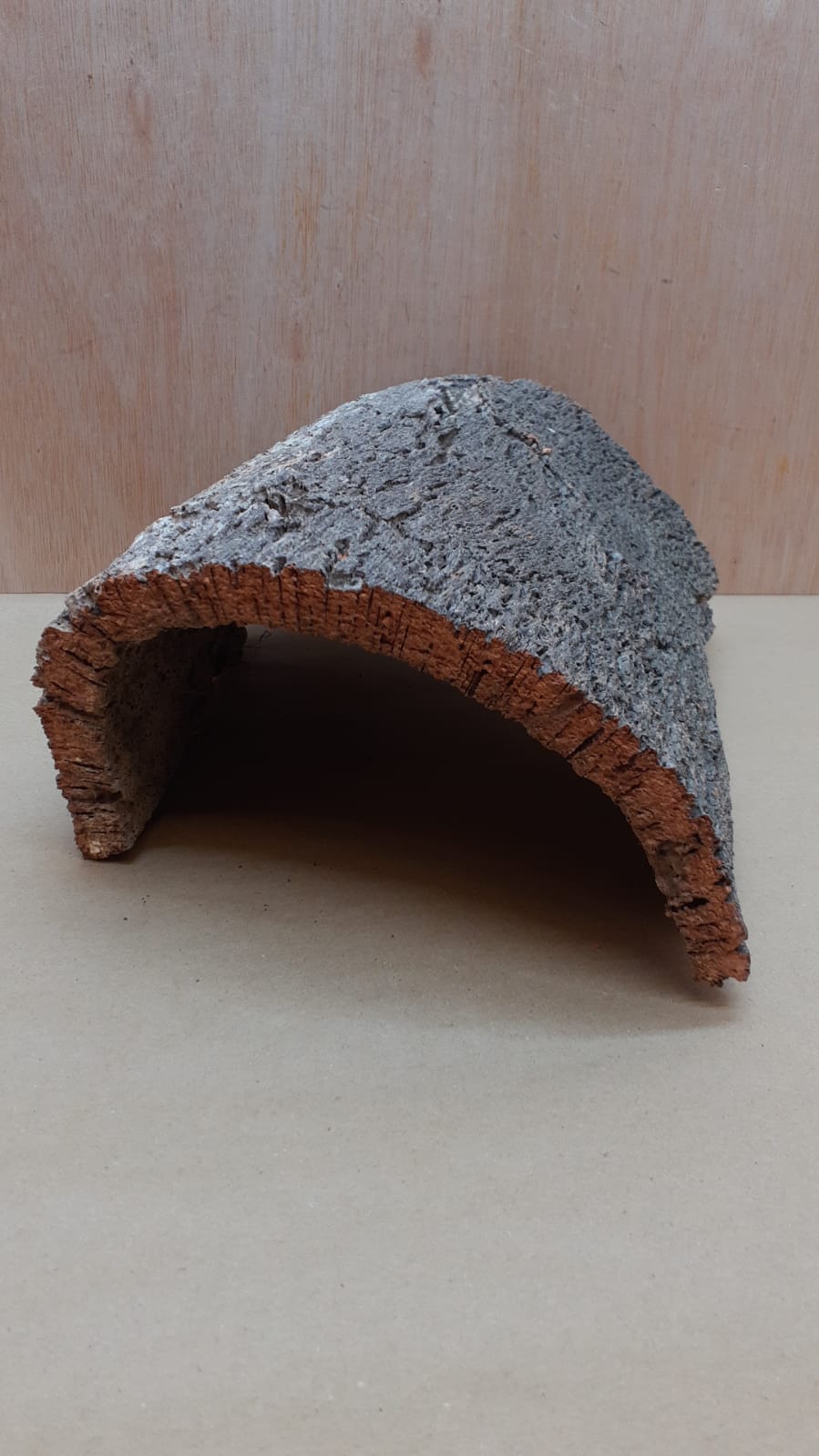 Medium Cork Hide 14