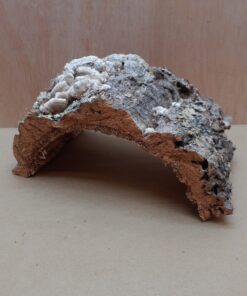 Medium Cork Hide 23