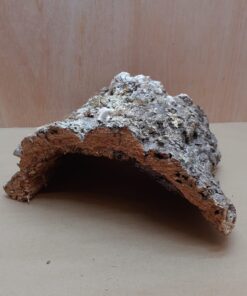 Medium Cork Hide 29