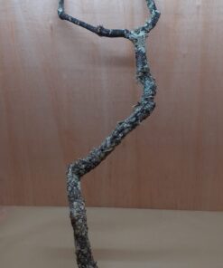 Large Cork Branch - 80-110cm - 4