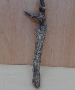 Small Cork Branch - Upto 40cm - 16