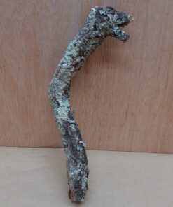 Small Cork Branch - Upto 40cm - 25