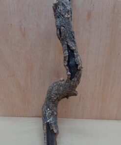 Small Cork Branch - Upto 40cm - 27