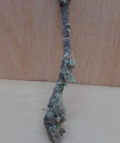 Small Cork Branch - Upto 40cm - 30