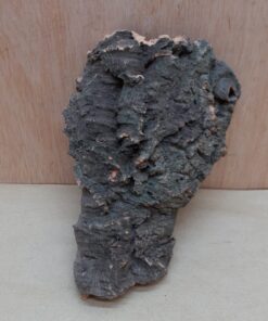 Small Cork Flat 1