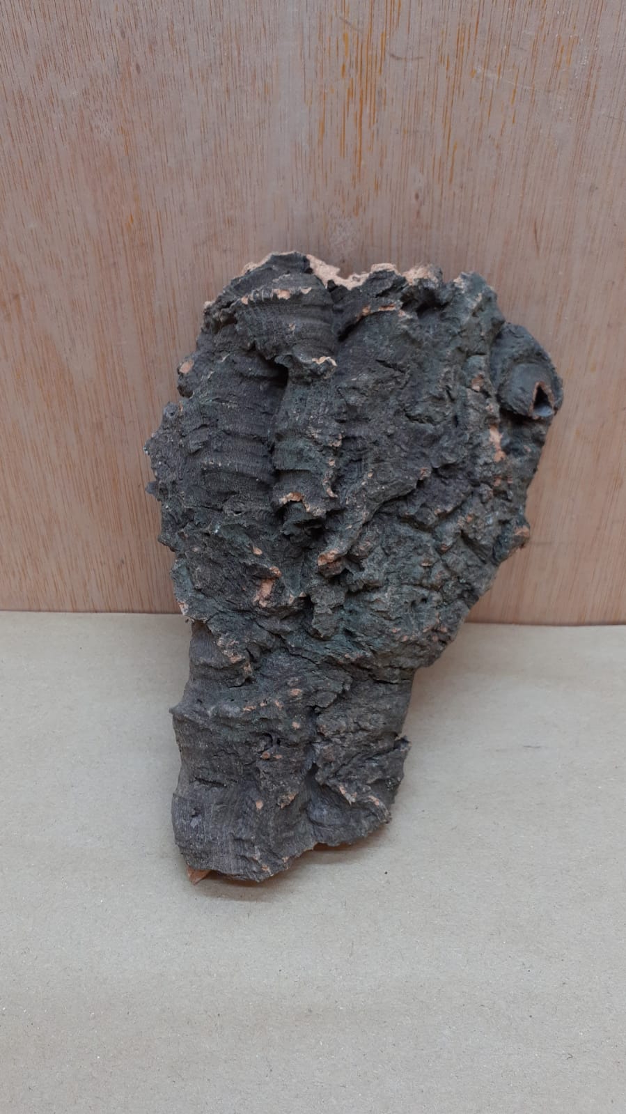 Small Cork Flat 1