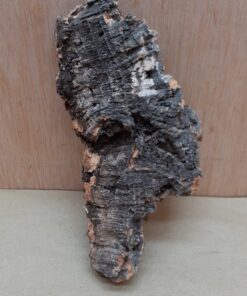 Small Cork Flat 2